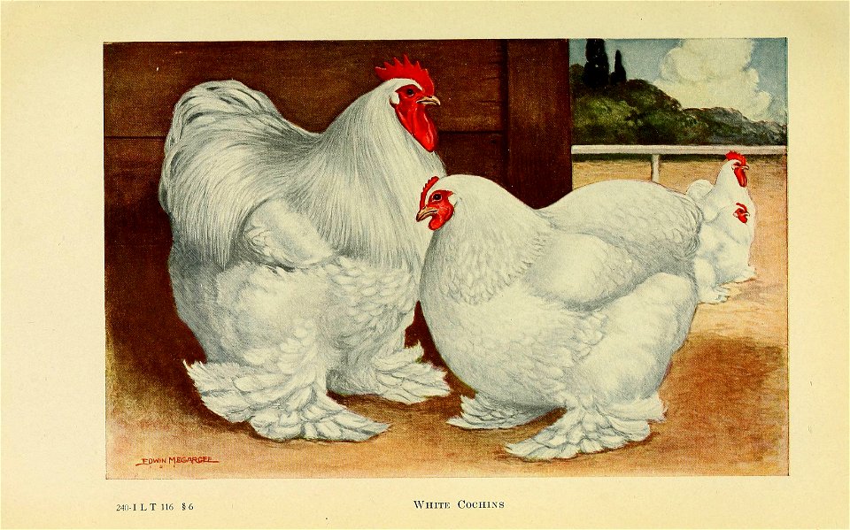 n404_w1150