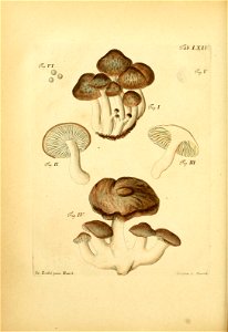 n177_w1150