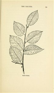 n118_w1150