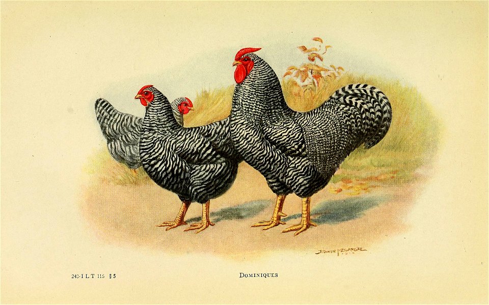 n342_w1150