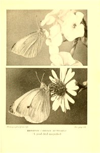 n98_w1150
