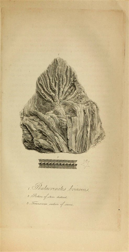 n618_w1150