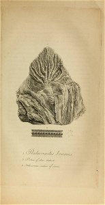 n618_w1150