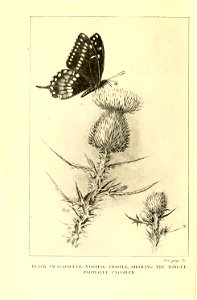 n97_w1150
