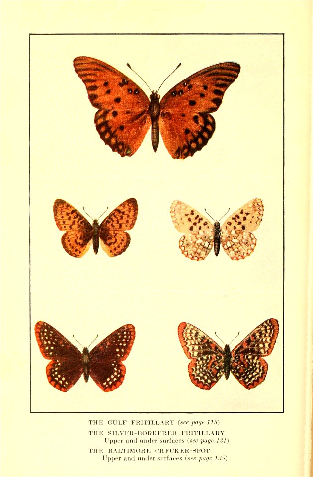 n175_w1150