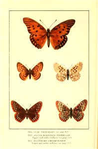 n175_w1150