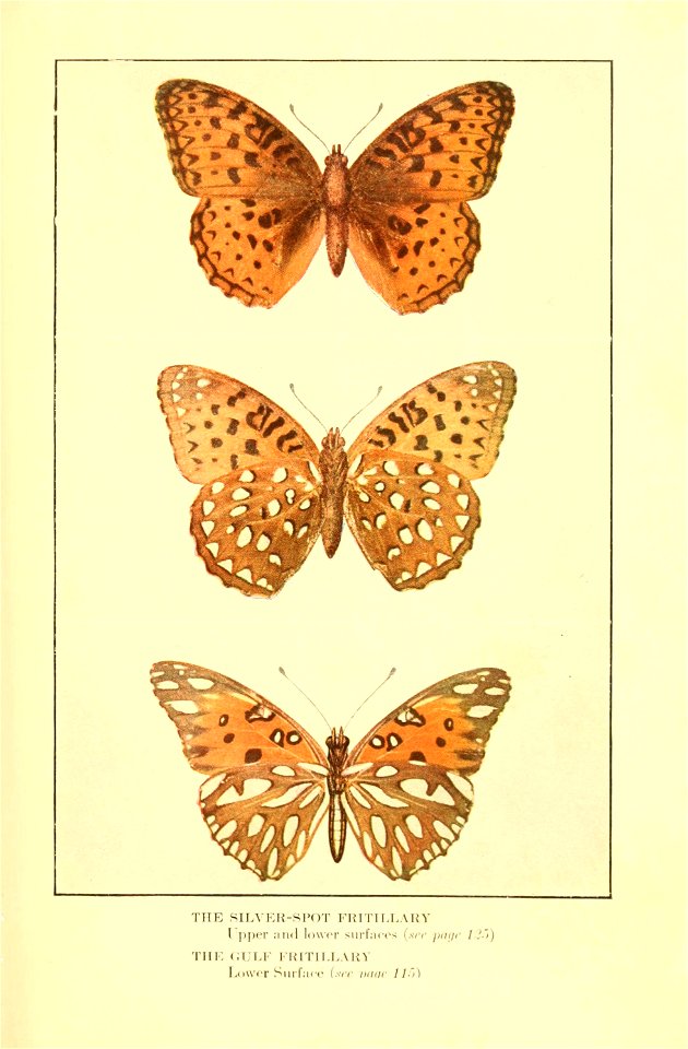 n174_w1150