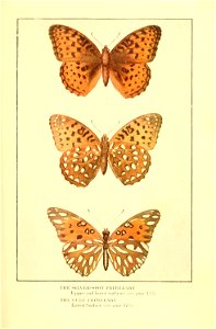 n174_w1150