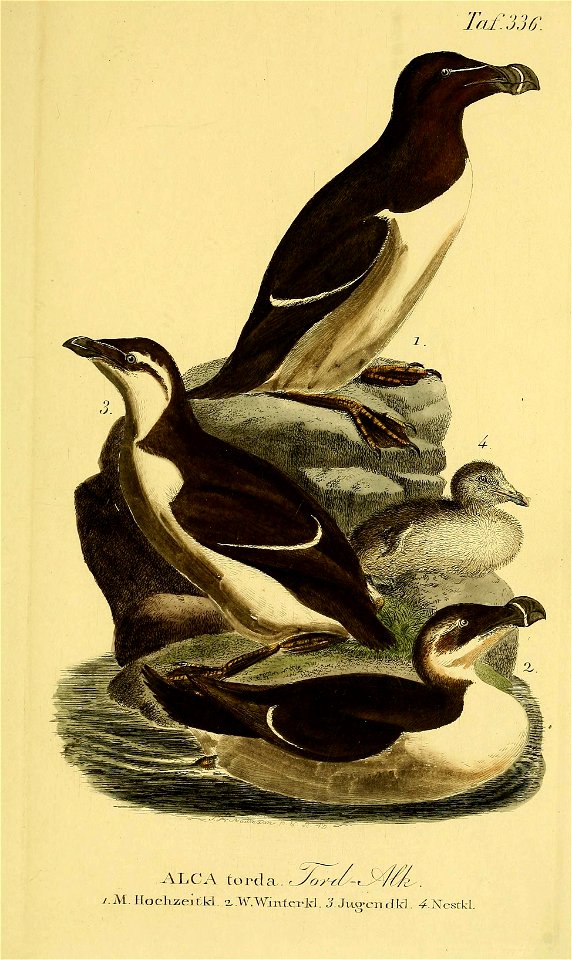 n674_w1150