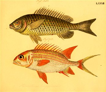 n158_w1150