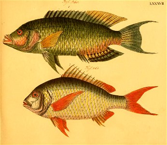 n178_w1150