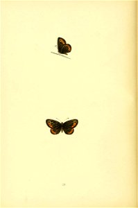 n113_w1150