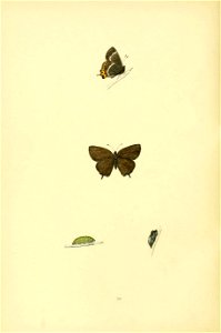 n175_w1150