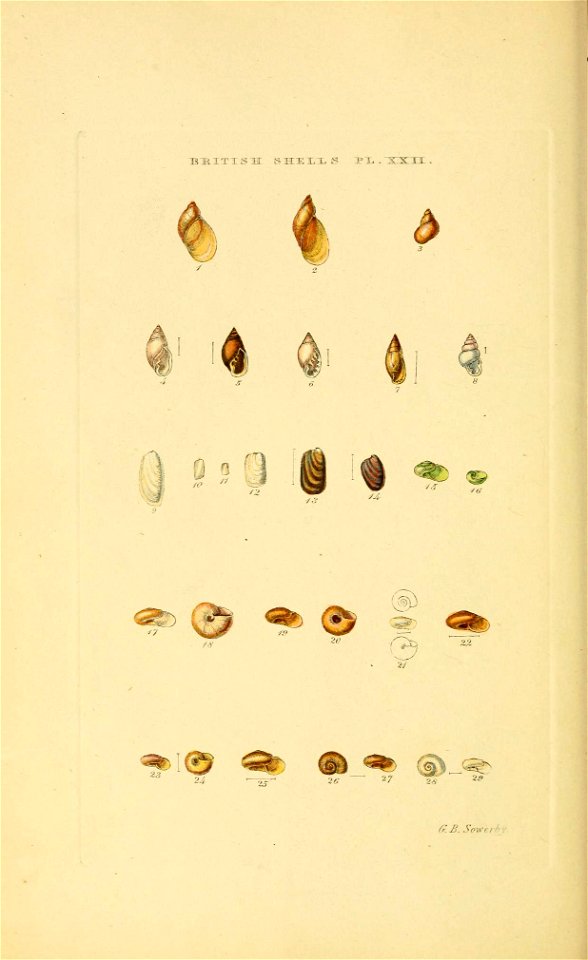 n107_w1150