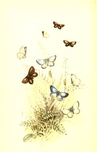 n115_w1150