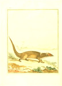 n149_w1150
