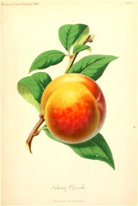 n98_w1150
