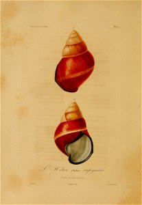 n117_w1150