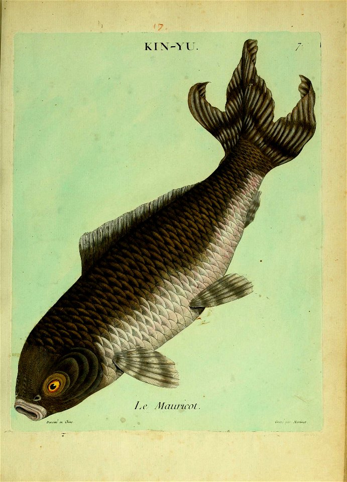 n56_w1150