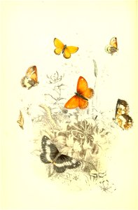 n53_w1150