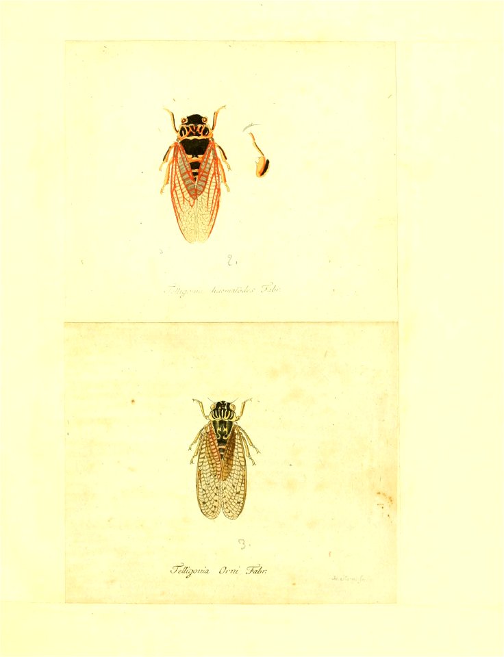 n180_w1150