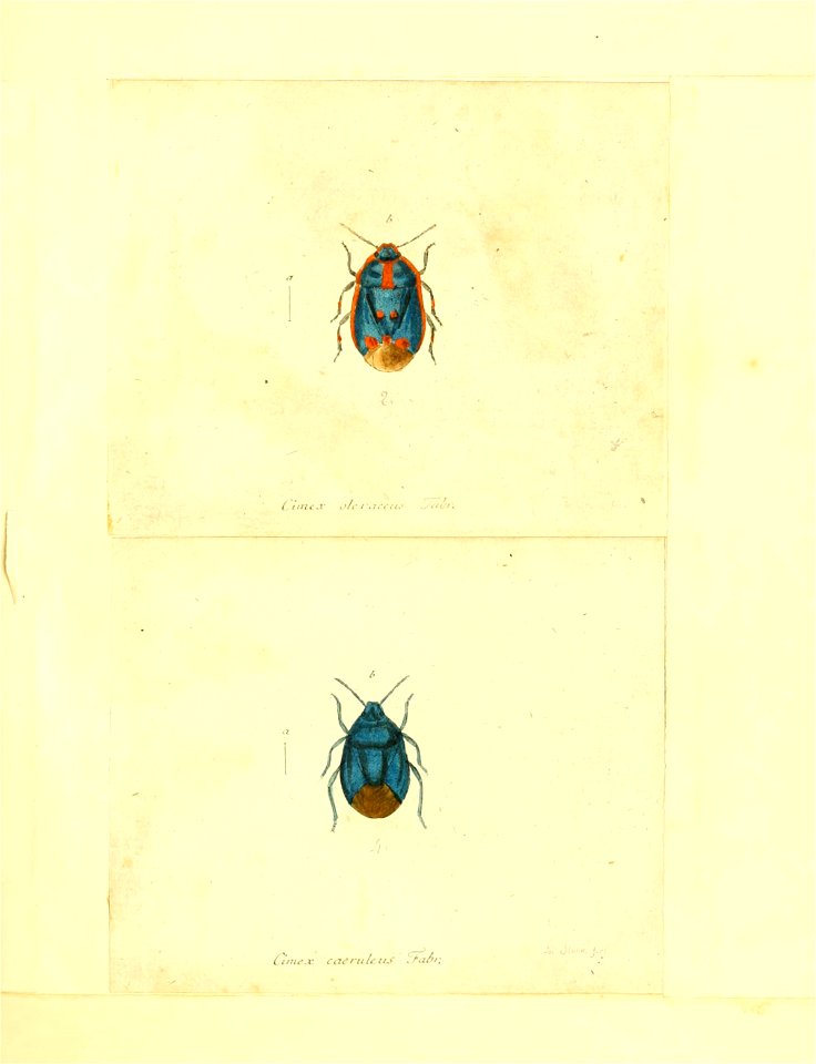 n60_w1150