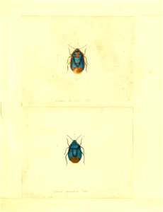 n60_w1150