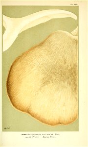 n257_w1150