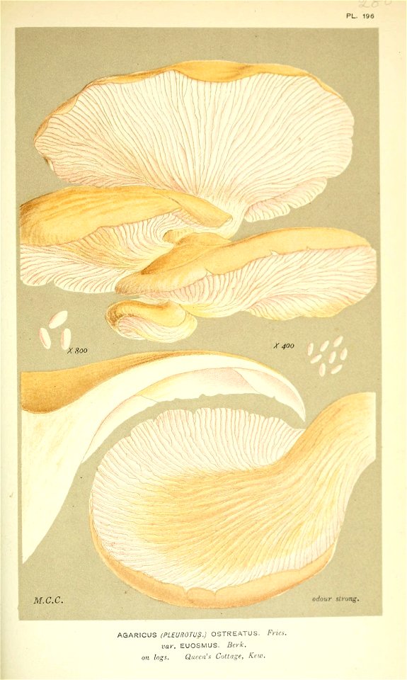 n281_w1150