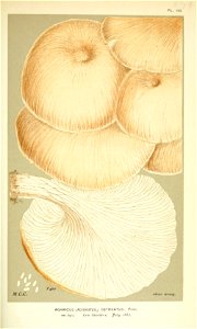 n279_w1150