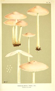 n159_w1150