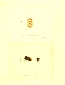 n216_w1150