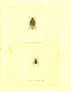 n156_w1150