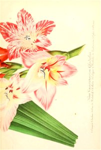 n154_w1150