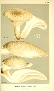 n259_w1150