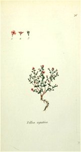 n362_w1150