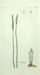n170_w1150