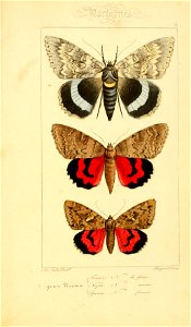 n392_w1150