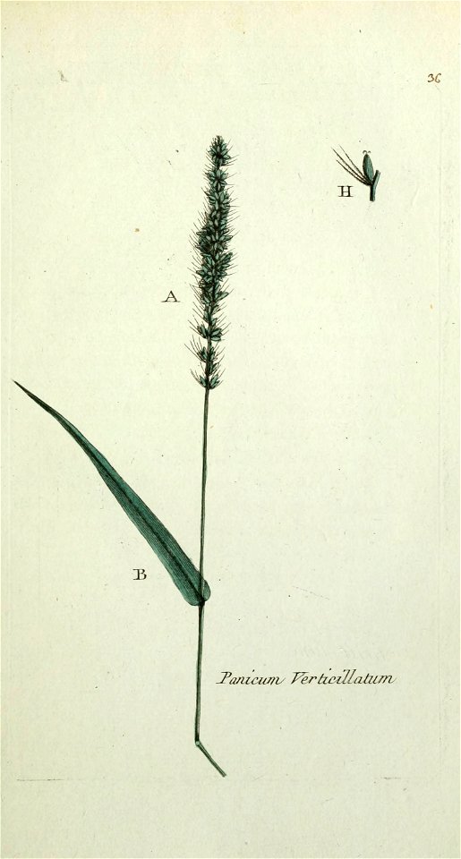 n194_w1150