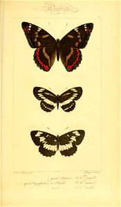 n262_w1150