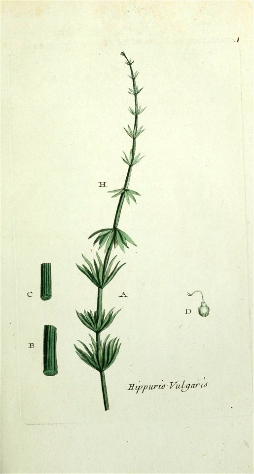 n54_w1150