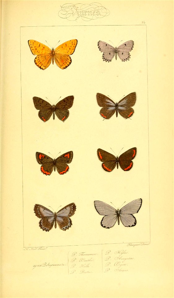 n290_w1150
