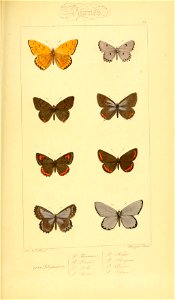n290_w1150