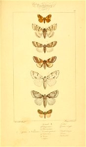 n378_w1150