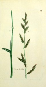 n202_w1150