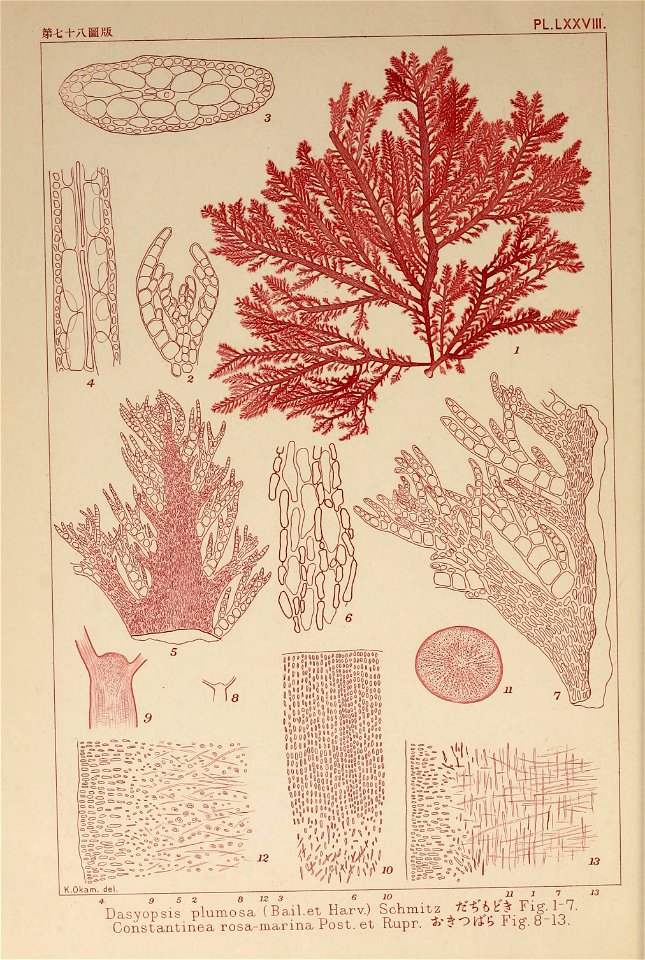 n159_w1150