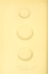n351_w1150