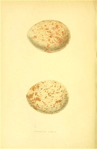 n251_w1150