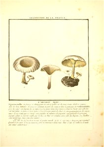 n82_w1150