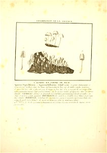 n50_w1150
